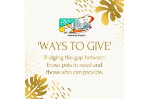 Ways to Give initiative from Cessna Lifeline