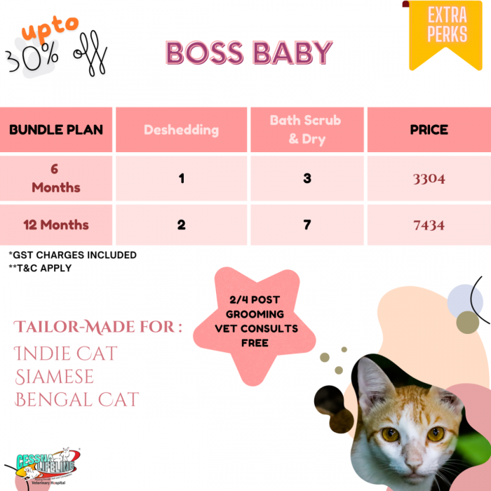 boss_baby_1.png
