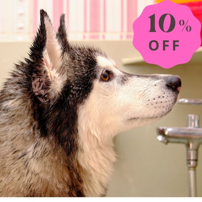 Large Breed Long Hair Dog Grooming Package 10 Off