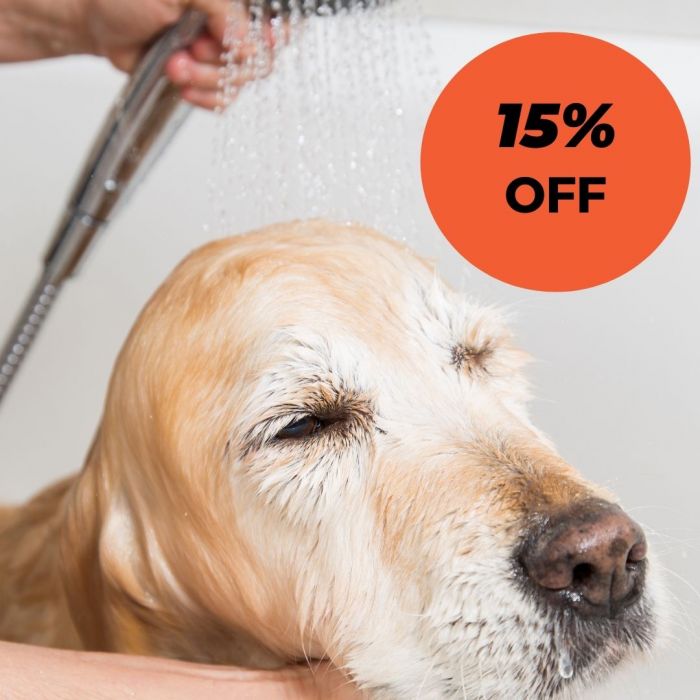 Large breed dog groomers top