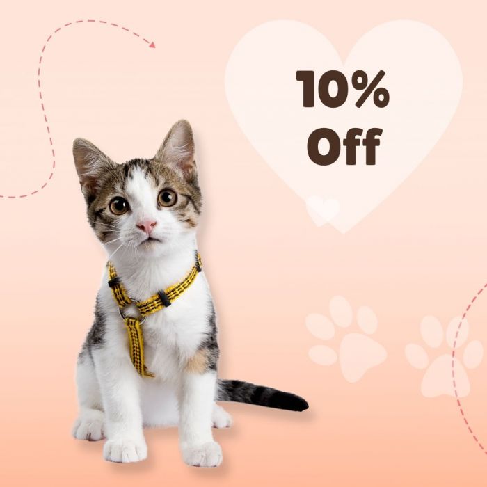 Short hair cat grooming top