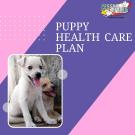 Puppy Health Care 1 Year Plan