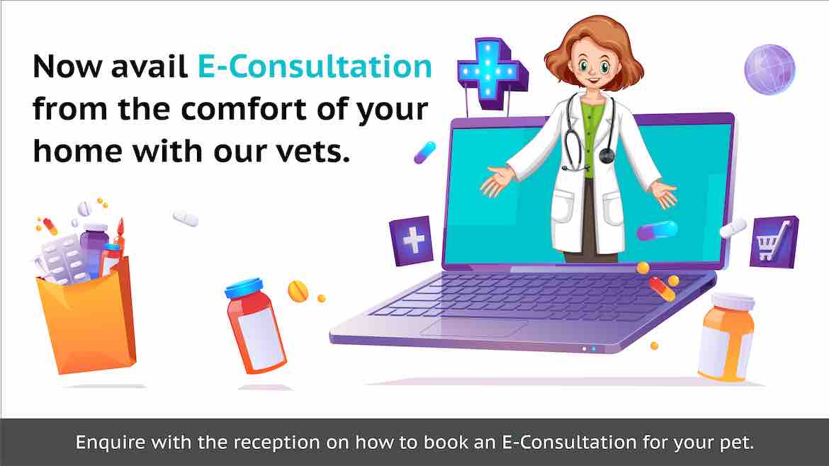 E-Consultation