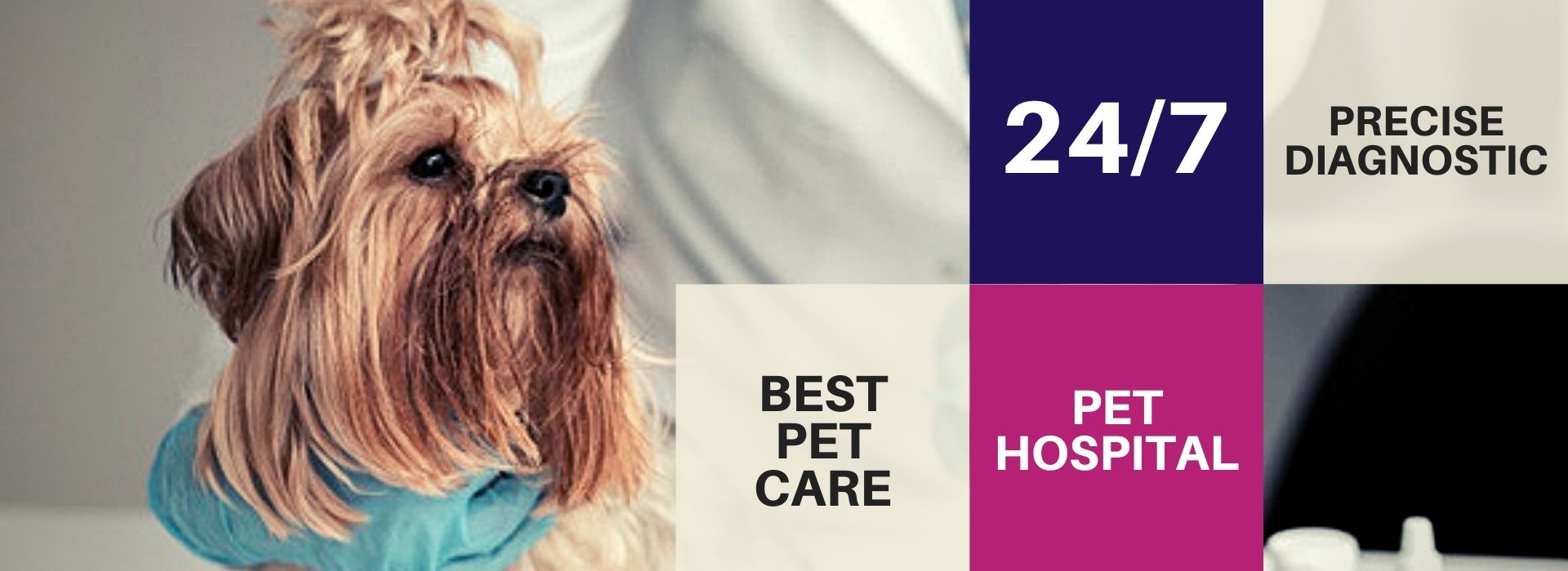 Cessna lifeline Veterinary Hospital Cessna lifeline Veterinary Hospital