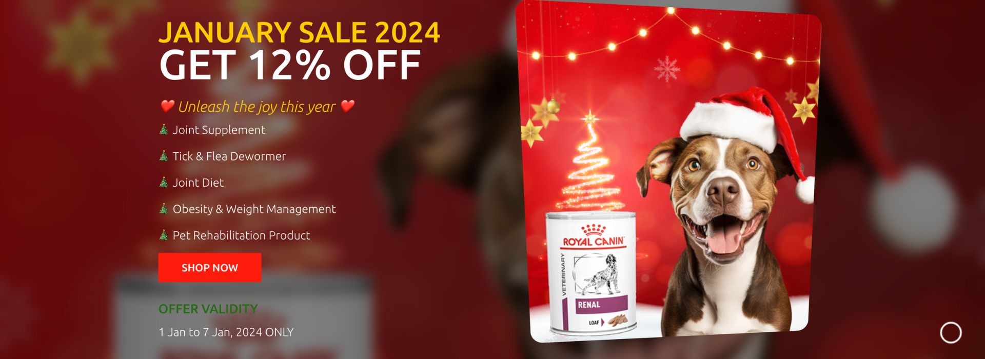 Cessna lifeline Veterinary Hospital